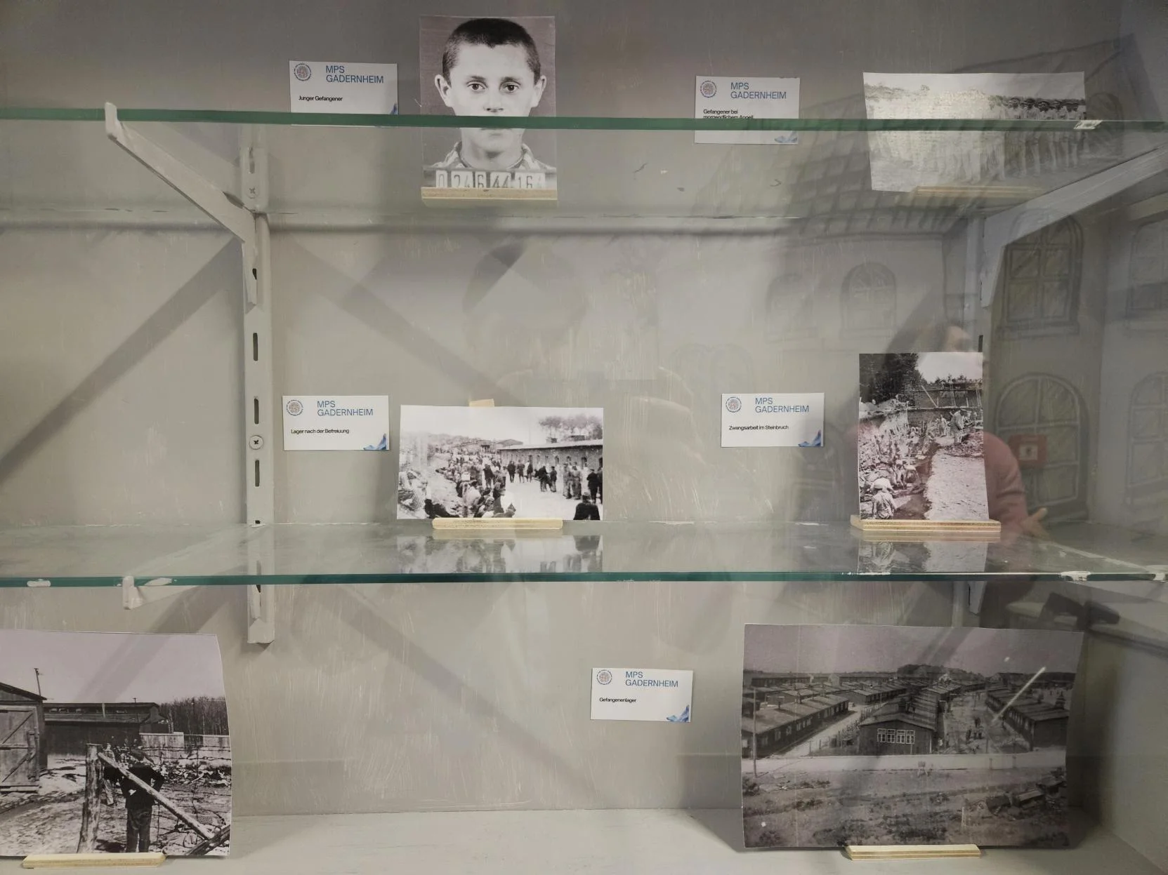 Bild der Galerie