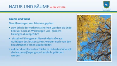 Vorschaubild: EWV 2026 - Folie (82)