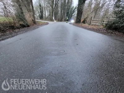 Foto des Albums: 2026-02-12_h1x