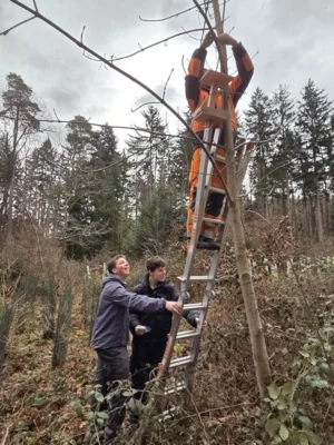 Foto des Albums: HSS taucht ein Wald