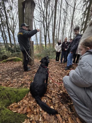 Foto des Albums: HSS taucht ein Wald
