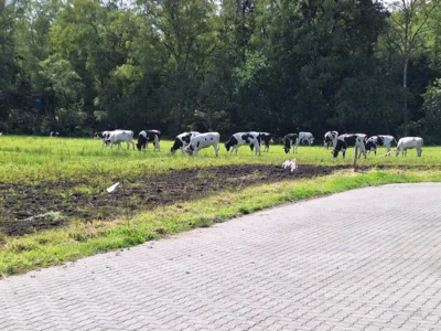 Foto des Albums: Radtour Hülsenberg