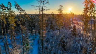 Foto des Albums: Winterlandschaft Ruhner Berge