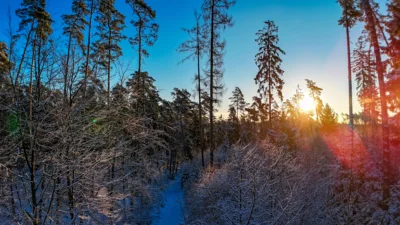 Foto des Albums: Winterlandschaft Ruhner Berge