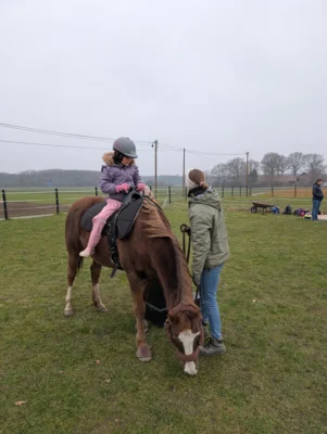 Foto des Albums: Spende der Bürgerstiftung für das therapeutische Reiten