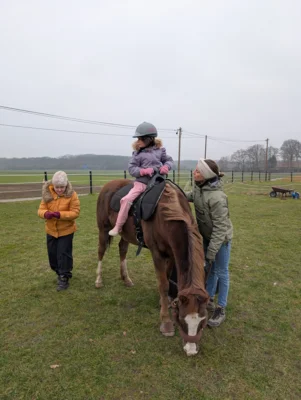Foto des Albums: Spende der Bürgerstiftung für das therapeutische Reiten