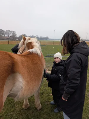 Foto des Albums: Spende der Bürgerstiftung für das therapeutische Reiten