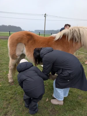Foto des Albums: Spende der Bürgerstiftung für das therapeutische Reiten