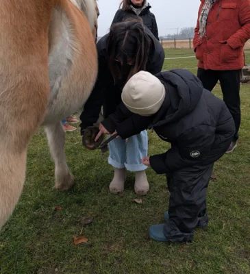 Foto des Albums: Spende der Bürgerstiftung für das therapeutische Reiten