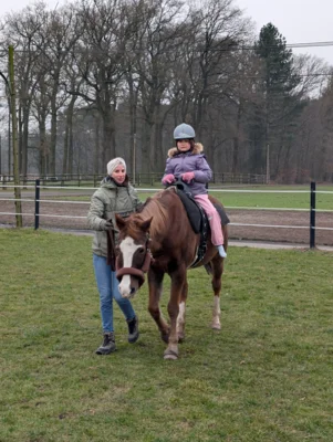 Foto des Albums: Spende der Bürgerstiftung für das therapeutische Reiten