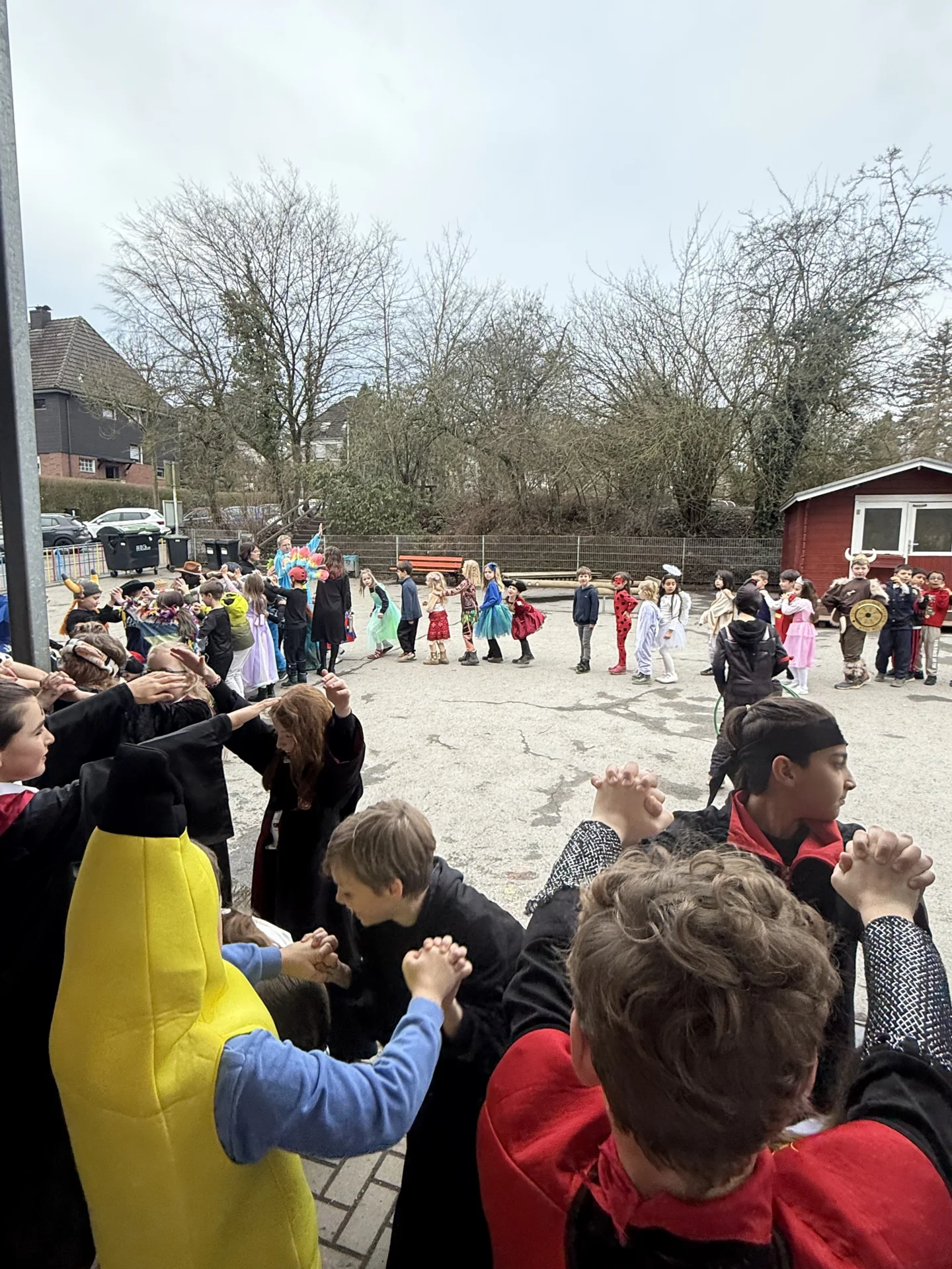 Bild der Galerie