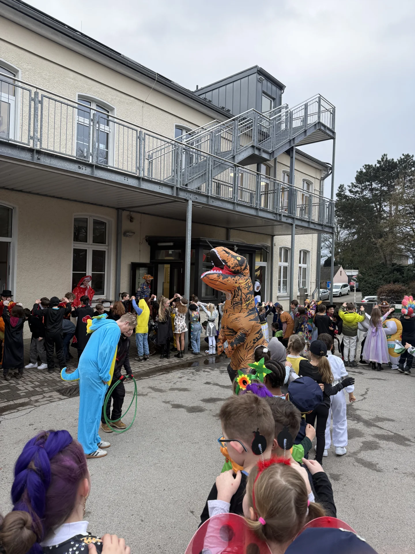 Bild der Galerie
