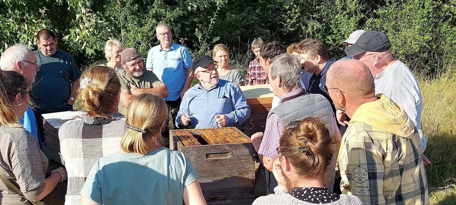 Bild: Workshop Bienengesundheit mit Gildo Eich September 2025