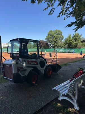 Foto des Albums: Unser Verein in Bildern!