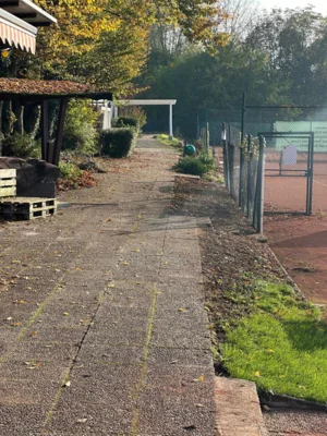 Foto des Albums: Unser Verein in Bildern!