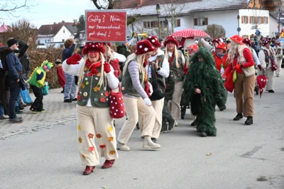 Foto des Albums: Rosenmontagszug am 16. Februar 2026
