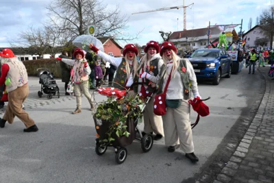 Foto des Albums: Rosenmontagszug am 16. Februar 2026