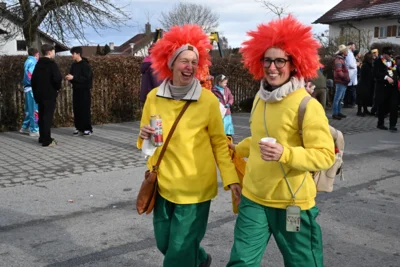 Foto des Albums: Rosenmontagszug am 16. Februar 2026