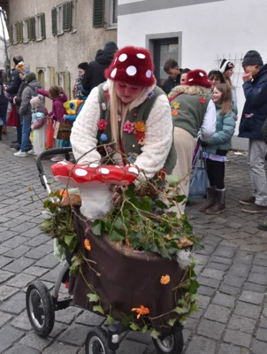 Foto des Albums: Rosenmontagszug am 16. Februar 2026