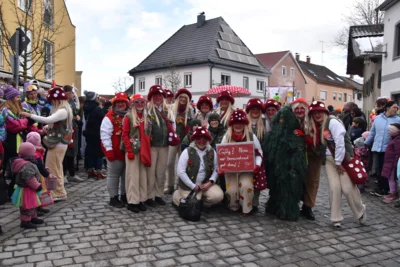 Foto des Albums: Rosenmontagszug am 16. Februar 2026