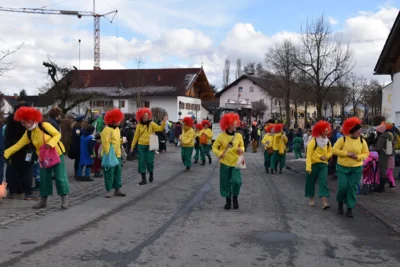 Foto des Albums: Rosenmontagszug am 16. Februar 2026