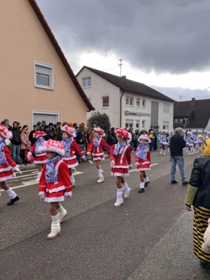 Foto des Albums: Faschingsumzug 2026