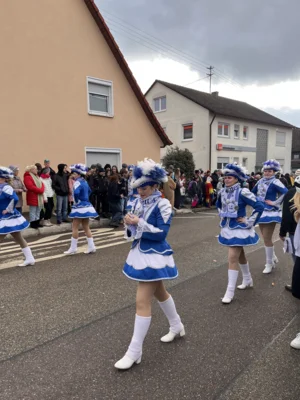 Foto des Albums: Faschingsumzug 2026