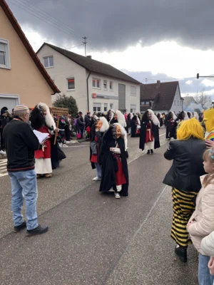 Foto des Albums: Faschingsumzug 2026