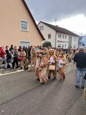 Foto des Albums: Faschingsumzug 2026