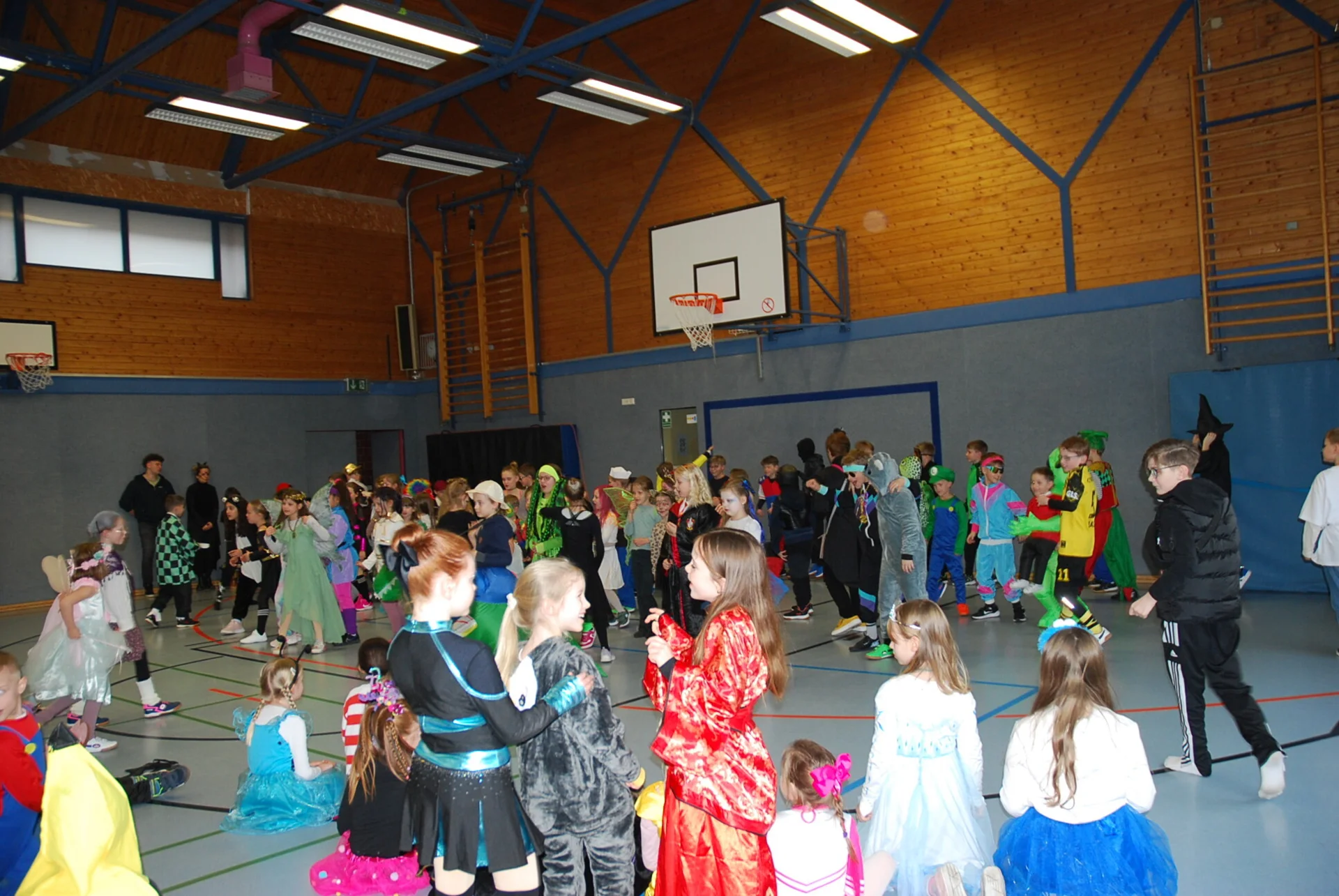 Bild der Galerie