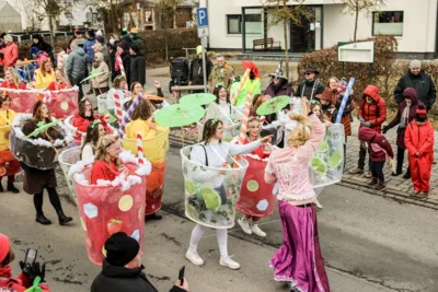 Foto des Albums: Karnevalsumzug