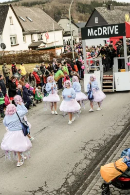 Foto des Albums: Karnevalsumzug