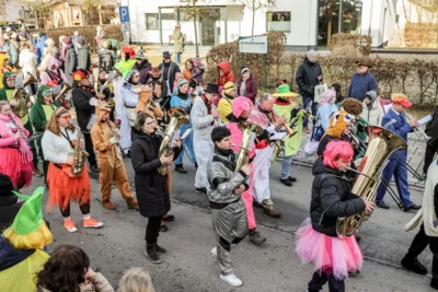 Foto des Albums: Karnevalsumzug