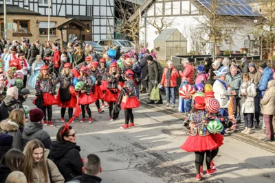 Foto des Albums: Karnevalsumzug