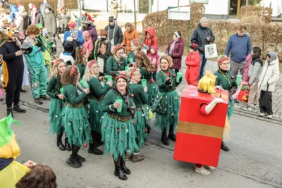 Foto des Albums: Karnevalsumzug