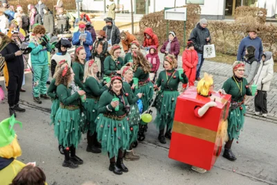 Foto des Albums: Karnevalsumzug
