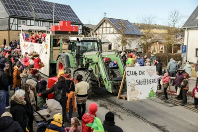 Foto des Albums: Karnevalsumzug