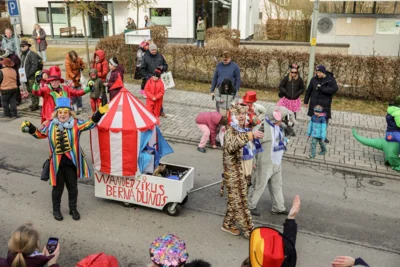 Foto des Albums: Karnevalsumzug