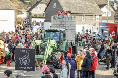 Foto des Albums: Karnevalsumzug