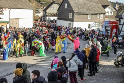 Foto des Albums: Karnevalsumzug