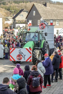Foto des Albums: Karnevalsumzug