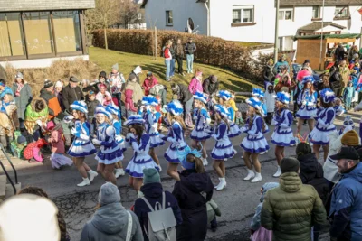 Foto des Albums: Karnevalsumzug