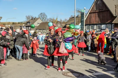 Foto des Albums: Karnevalsumzug