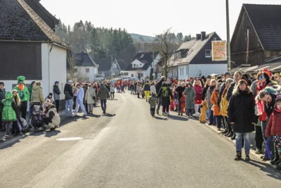 Foto des Albums: Karnevalsumzug