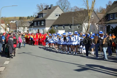 Foto des Albums: Karnevalsumzug