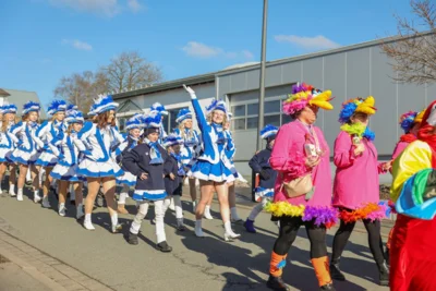 Foto des Albums: Karnevalsumzug