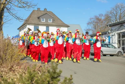 Foto des Albums: Karnevalsumzug