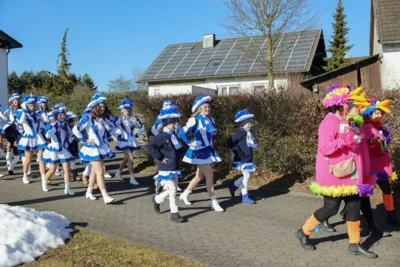Foto des Albums: Karnevalsumzug