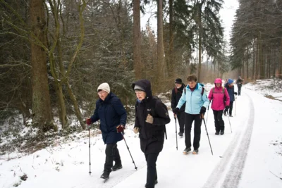 Richtung Kammweg  (Bild vergr&ouml;&szlig;ern)