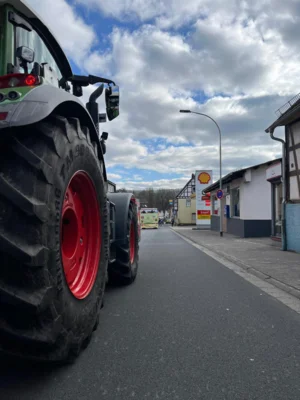 Foto des Albums: Karneval 2026